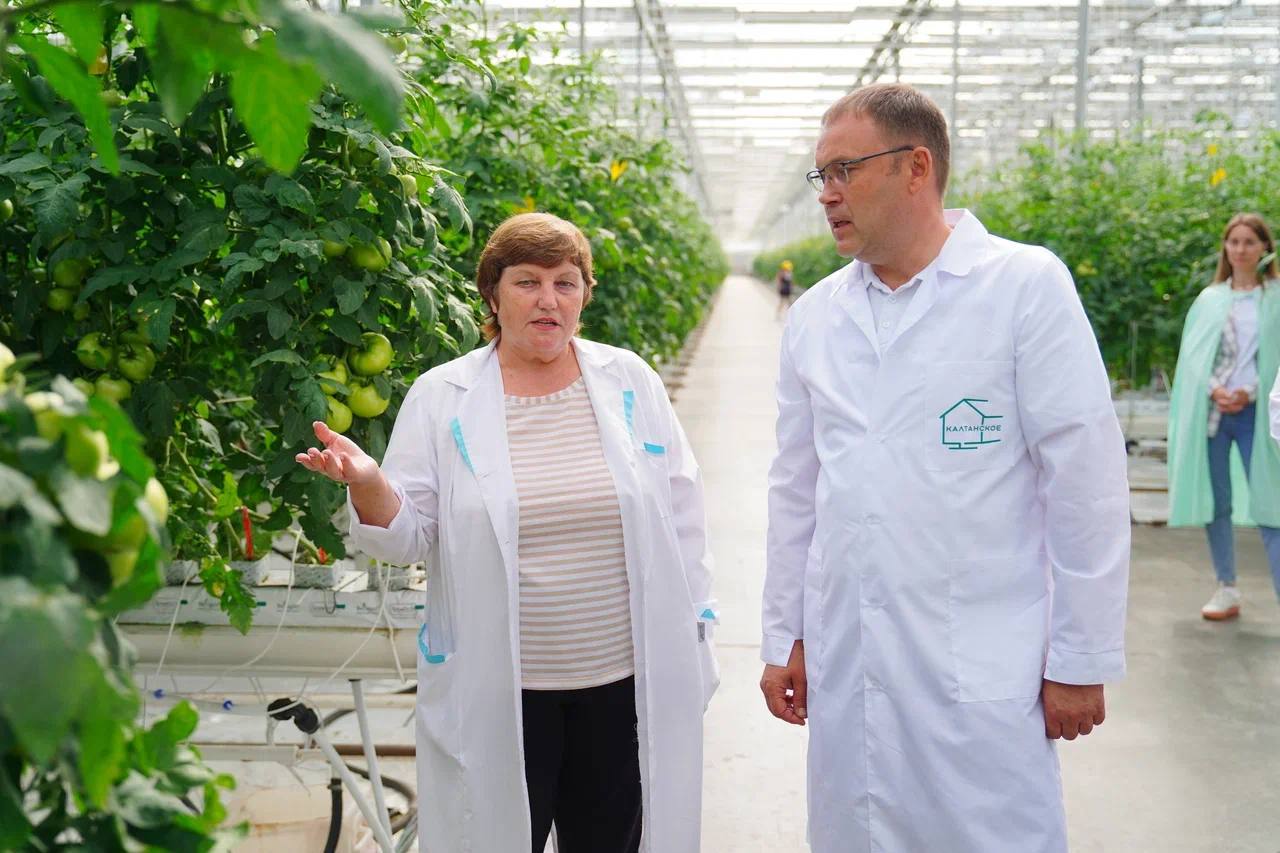 Планы расширения производства губернатор Илья Середюк обсудил с овощеводами Калтана