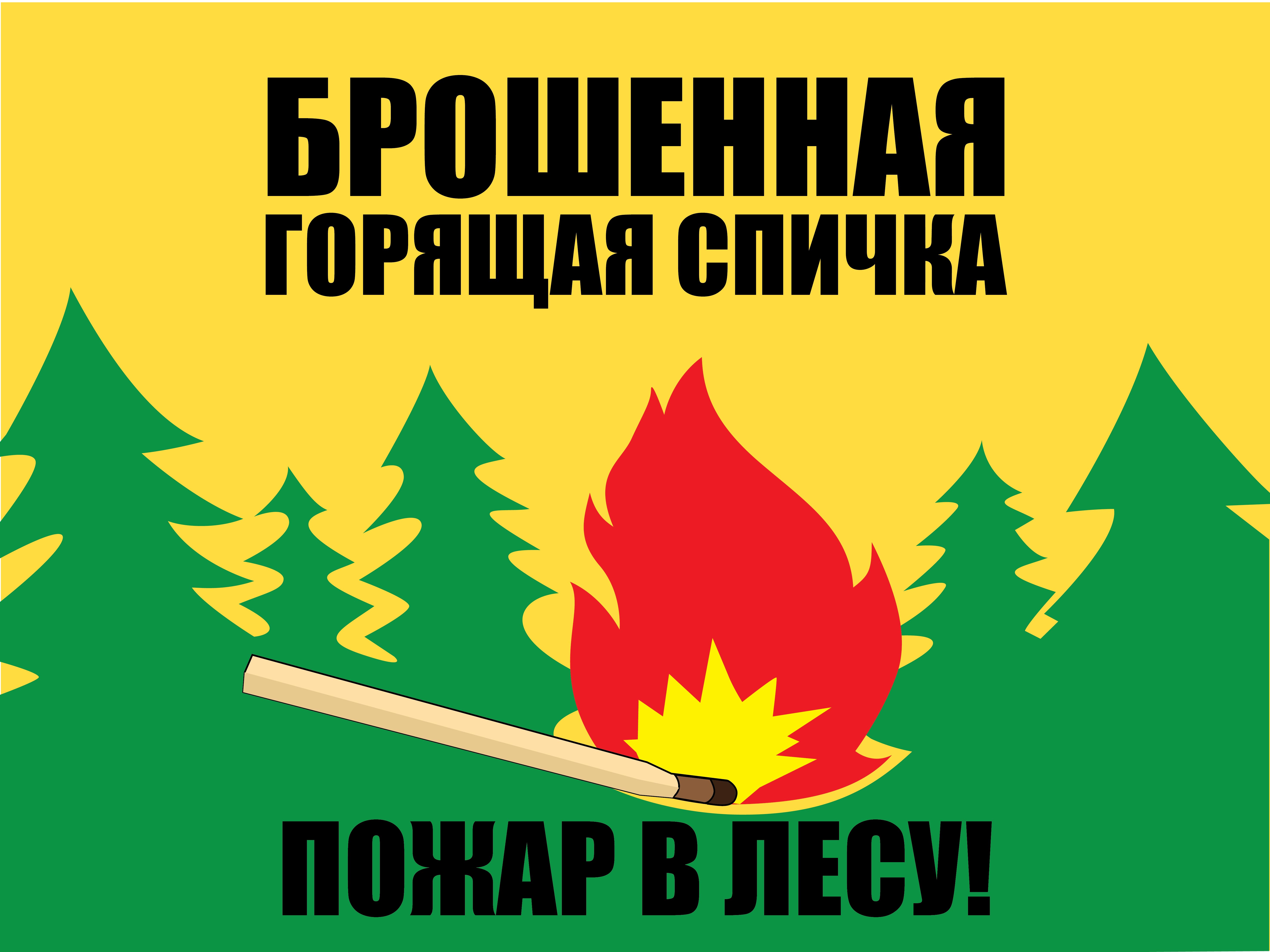 КАК НЕ НАДЕЛАТЬ БЕД В ЛЕСУ? 
