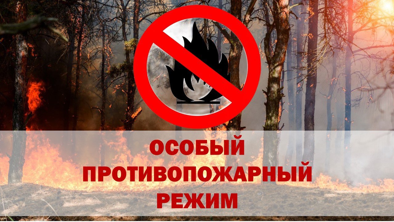 В Кузбассе устанавливается особый противопожарный режим с 15.04.2025 по 01.06.2025 год