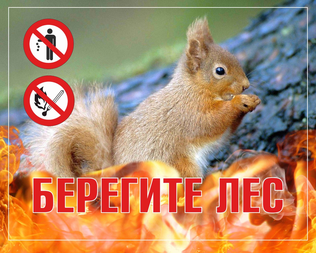 БЕРЕГИТЕ ЛЕС ОТ ПОЖАРА!