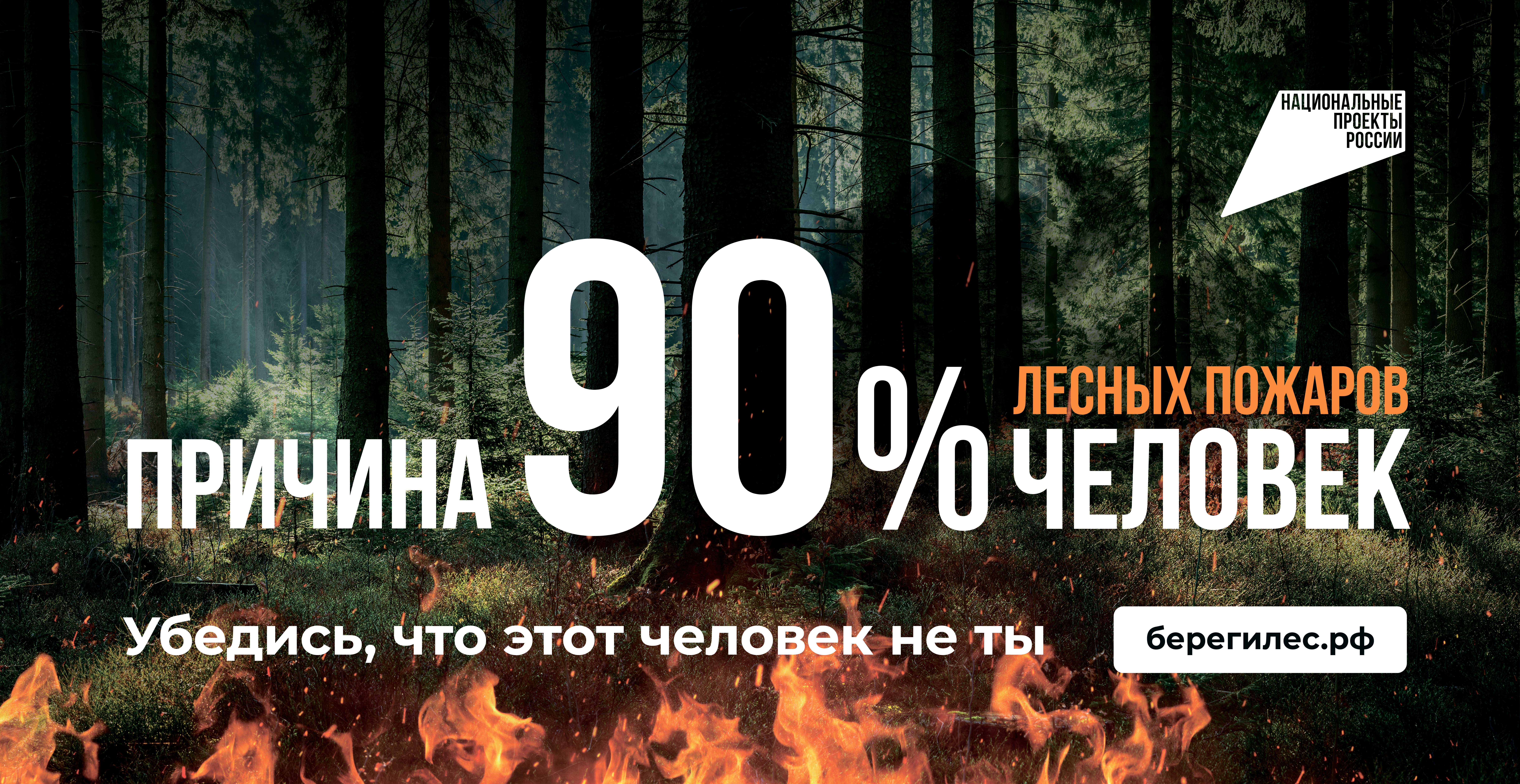 ПРАВИЛА ПОВЕДЕНИЯ В ЛЕСУ
