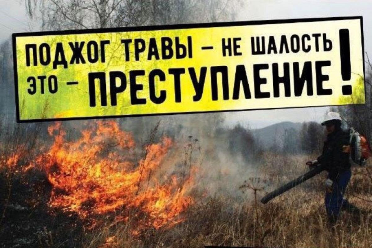 Пожарная безопасность на даче: простые правила для безопасного отдыха