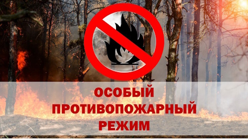 В Кузбассе вводится особый противопожарный режим с 25.04.2024 по 01.06.2024 год