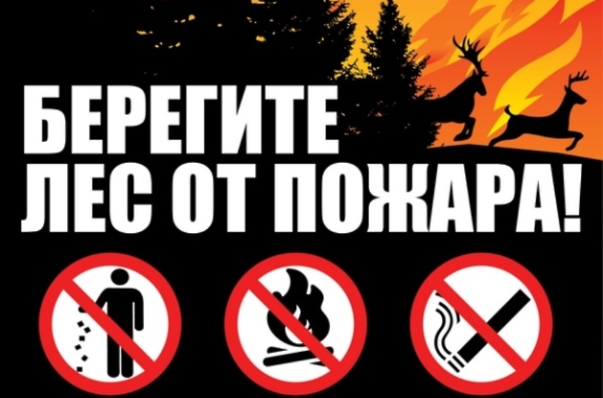 Пожарная безопасность в лесу