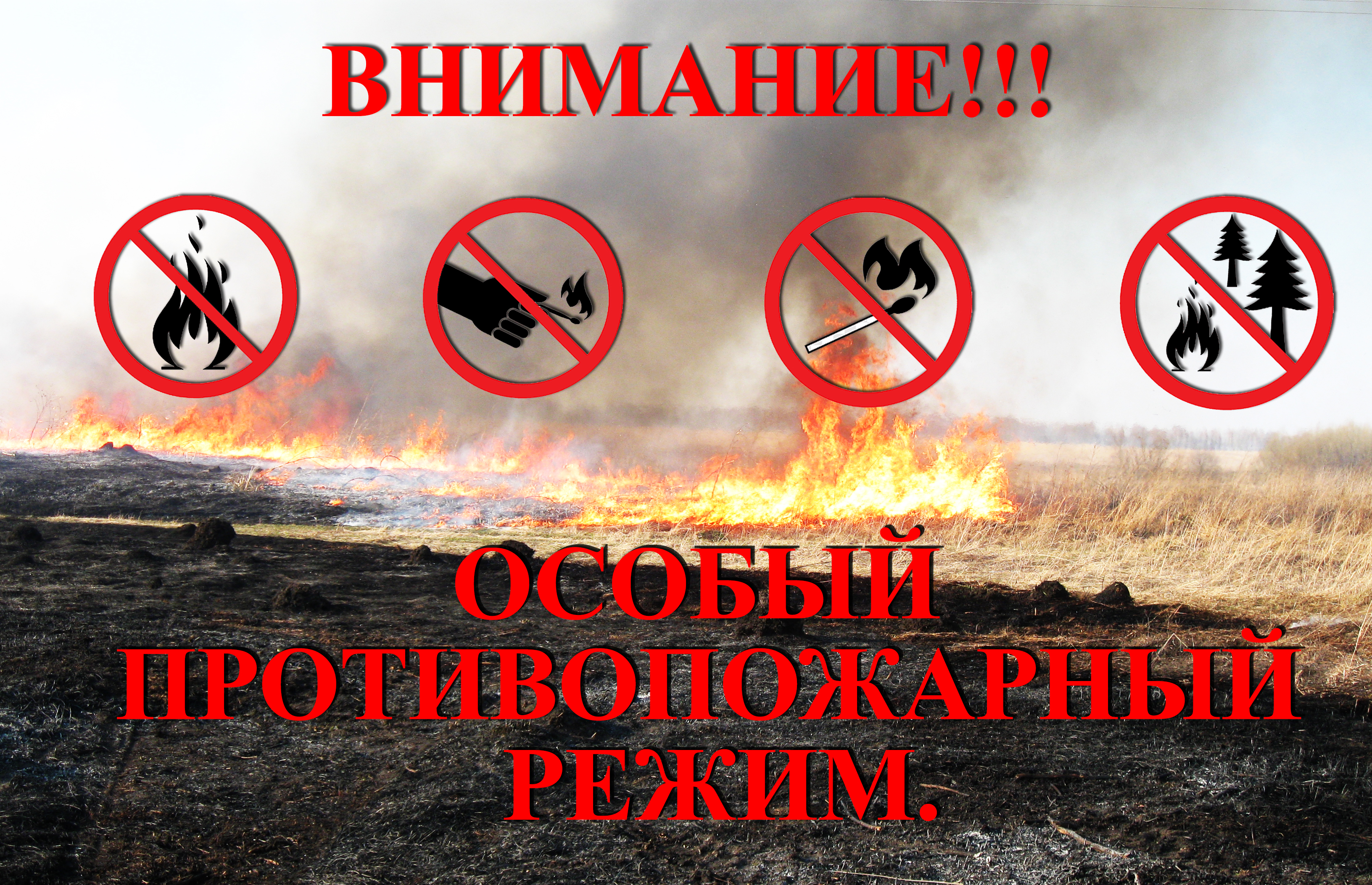 С 15 апреля по 1 июня 2025 года в Кузбассе устанавливается особый противопожарный режим