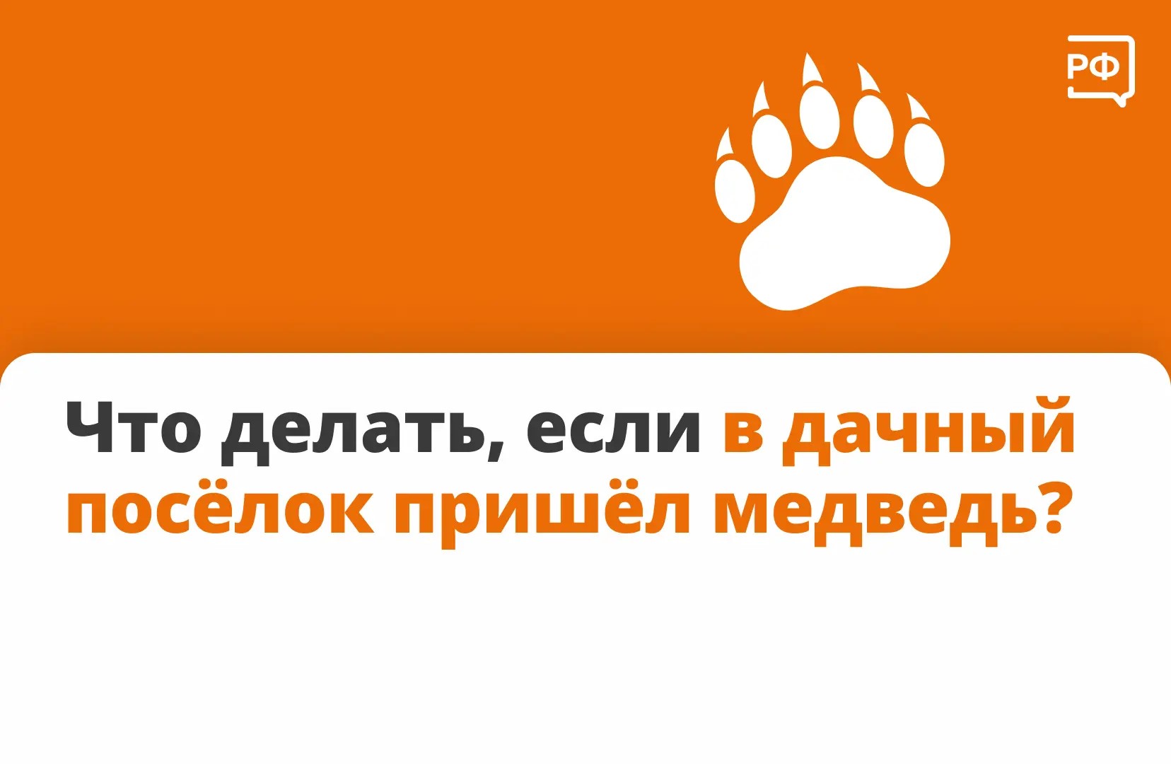 Почему медведи выходят к людям 