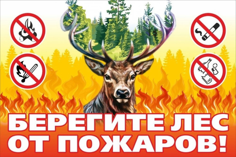 ЛЕС - НАШЕ БОГАТСТВО! БЕРЕГИТЕ ЛЕС!